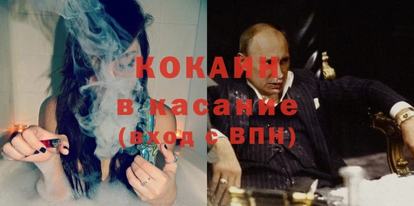 крисы Балахна