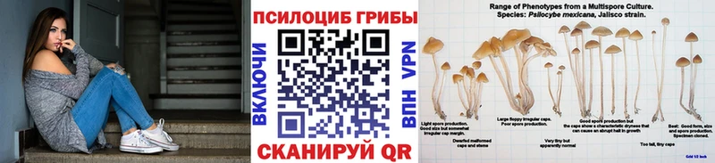 Псилоцибиновые грибы Psilocybine cubensis купить Лосино-Петровский